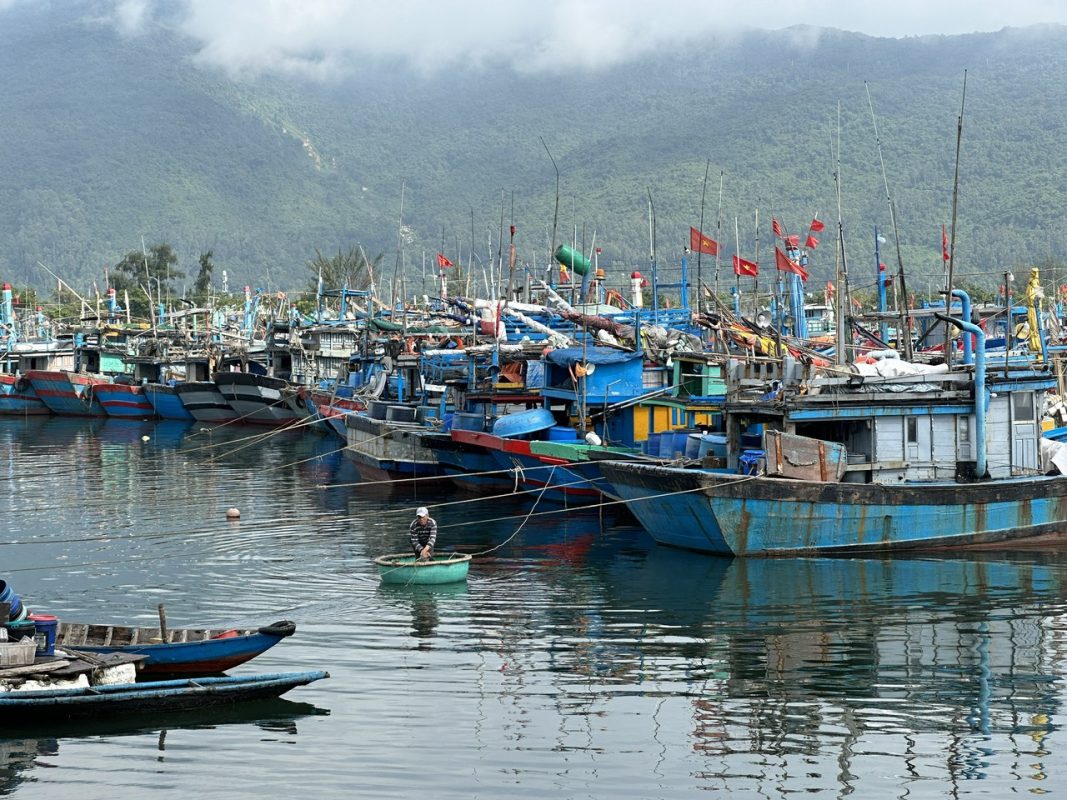 Âu thuyền Thọ Quang đang được bảo đảm môi trường thông qua giám sát tàu cá xả thải ra vùng nước tự nhiên. Ảnh: TRẦN TRÚC