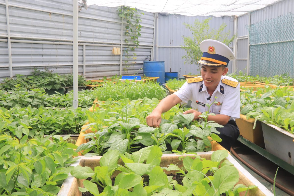 Thượng úy Đỗ Duy Đức bên vườn rau xanh mát do cán bộ, chiến sĩ  Nhà giàn DK1/21 chăm sóc.  Ảnh: ĐẮC MẠNH