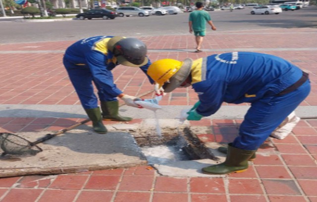 Xác định nguyên nhân gây mùi hôi tại "bãi biển quyến rũ nhất hành tinh"- Ảnh 3. Xác định nguyên nhân gây mùi hôi tại "bãi biển quyến rũ nhất hành tinh"- Ảnh 3.