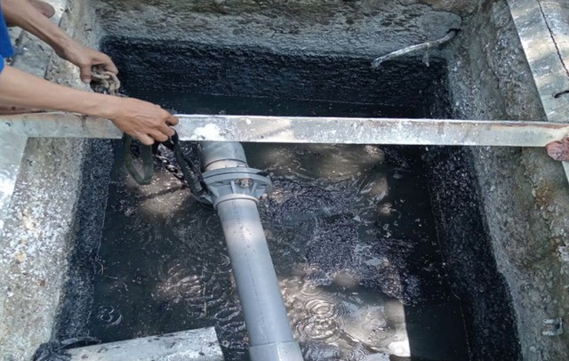 Xác định nguyên nhân gây mùi hôi tại "bãi biển quyến rũ nhất hành tinh"- Ảnh 2. Xác định nguyên nhân gây mùi hôi tại "bãi biển quyến rũ nhất hành tinh"- Ảnh 2.