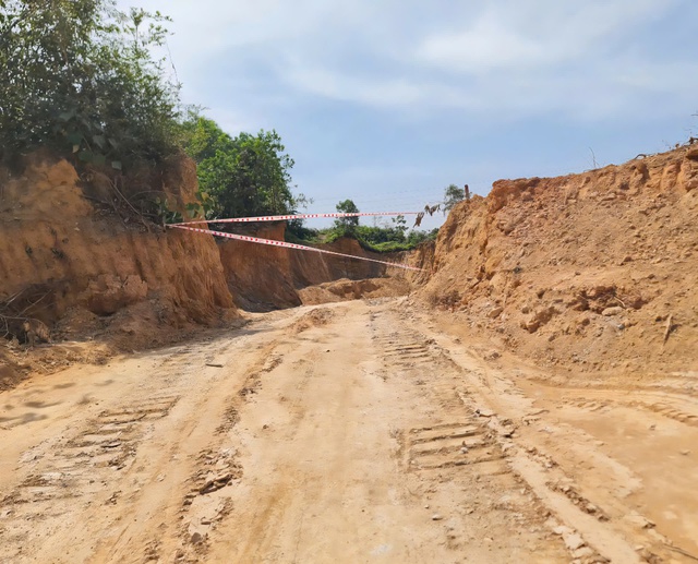 Đà Nẵng đề nghị chuyển hơn 9,5 ha đất rừng trồng sang khai thác đất- Ảnh 1. Đà Nẵng đề nghị chuyển hơn 9,5 ha đất rừng trồng sang khai thác đất- Ảnh 1.