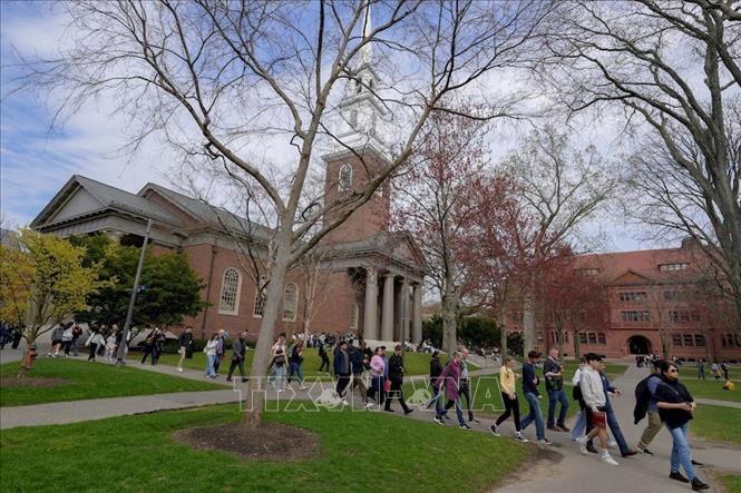 Sinh viên tại Đại học Harvard ở Cambridge, bang Massachusetts, Mỹ. Ảnh: REUTERS/TTXVN