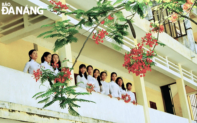 Sắc phượng. Ảnh: N.H