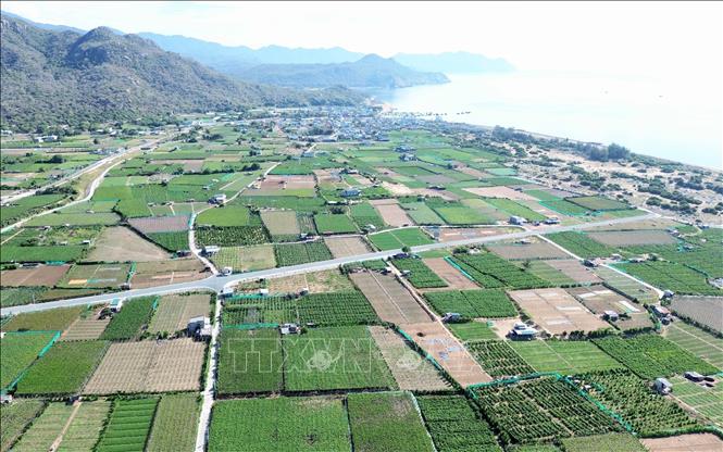 Dự án Nhà máy điện hạt nhân Ninh Thuận 2 dự kiến được xây tại thôn Thái An, xã Vĩnh Hải, huyện Ninh Hải. Ảnh: Nguyễn Thành/TTXVN