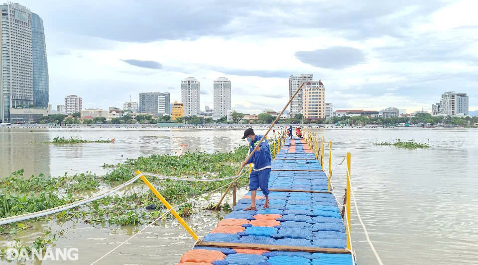 Công nhân thường xuyên túc trực tại cầu phao phía sau sân khấu phục vụ DIFF 2025 để thu gom bèo, rác trồi về. Ảnh: HOÀNG HIỆP