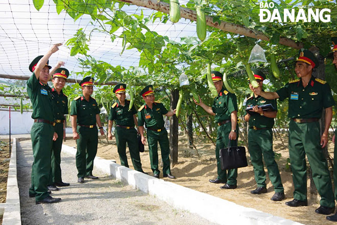 Quân khu 5 chấm thi vườn rau, giàn bầu bí của Trung đoàn 971. Ảnh: CÁT TƯỜNG