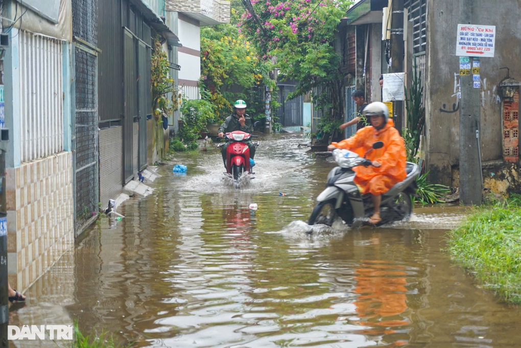 Nước lụt tại Đà Nẵng rút dần, rác thải bủa vây nhiều nơi - 3 Nước lụt tại Đà Nẵng rút dần, rác thải bủa vây nhiều nơi - 3